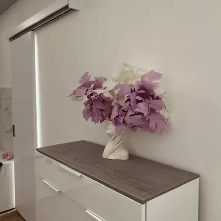 S Class Apartment *